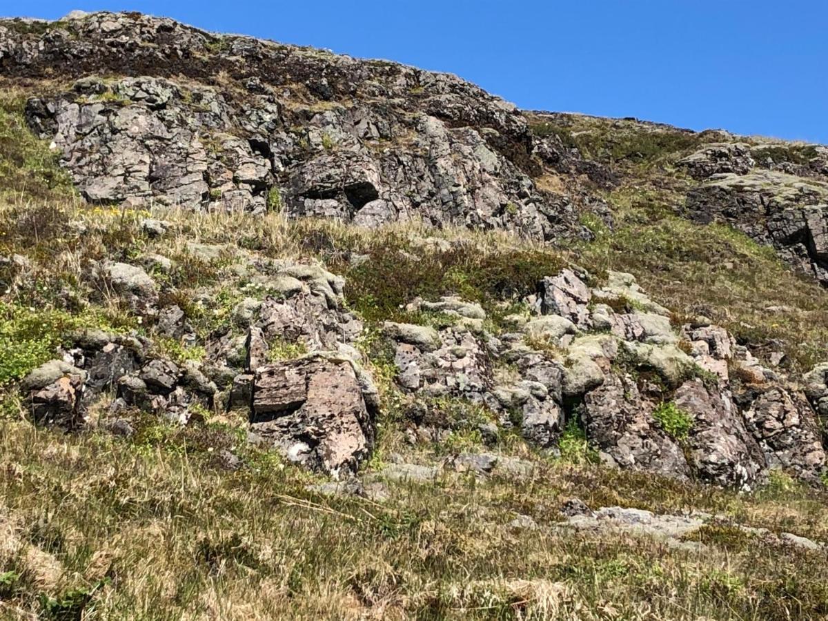 Mosas Cottages Flúðir Zewnętrze zdjęcie