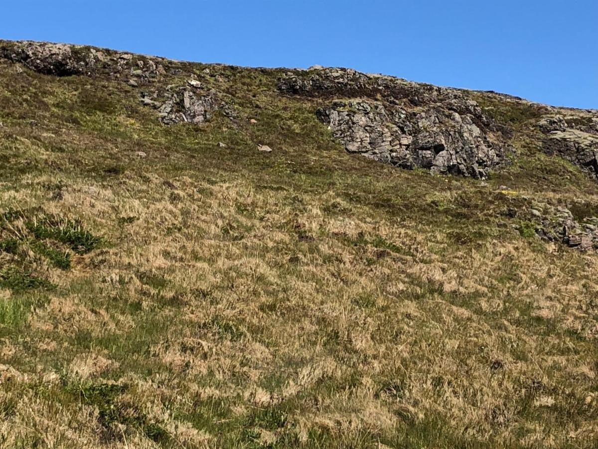 Mosas Cottages Flúðir Zewnętrze zdjęcie
